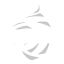 BRI Liga 1 logo